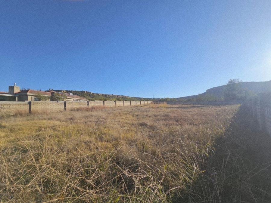 0 Bedroom Property for Sale in Ladybrand Free State